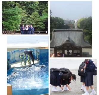 鎌倉と江ノ島の校外学習の様子の画像