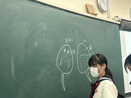 学校の黒板に海の生きものを描いて学んでいる