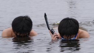 ゴーグルをつけて生き物を観察