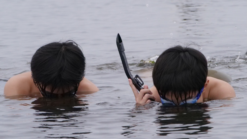 ゴーグルをつけて生き物を観察